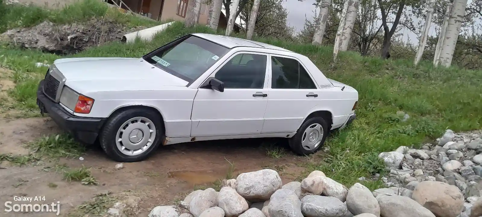 Mercedes-Benz W201, 1989-10