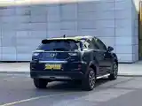 Honda XNV, 2019-5