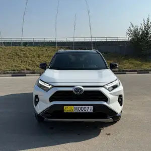 Toyota RAV 4, 2024