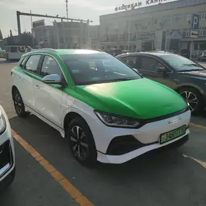 BYD B2, 2024