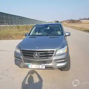 Ноускат мл 166 от Mercedes