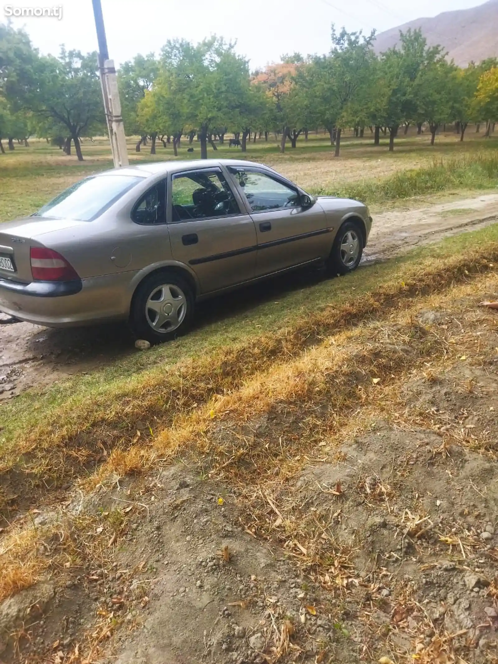 Opel Vectra B, 1998-11