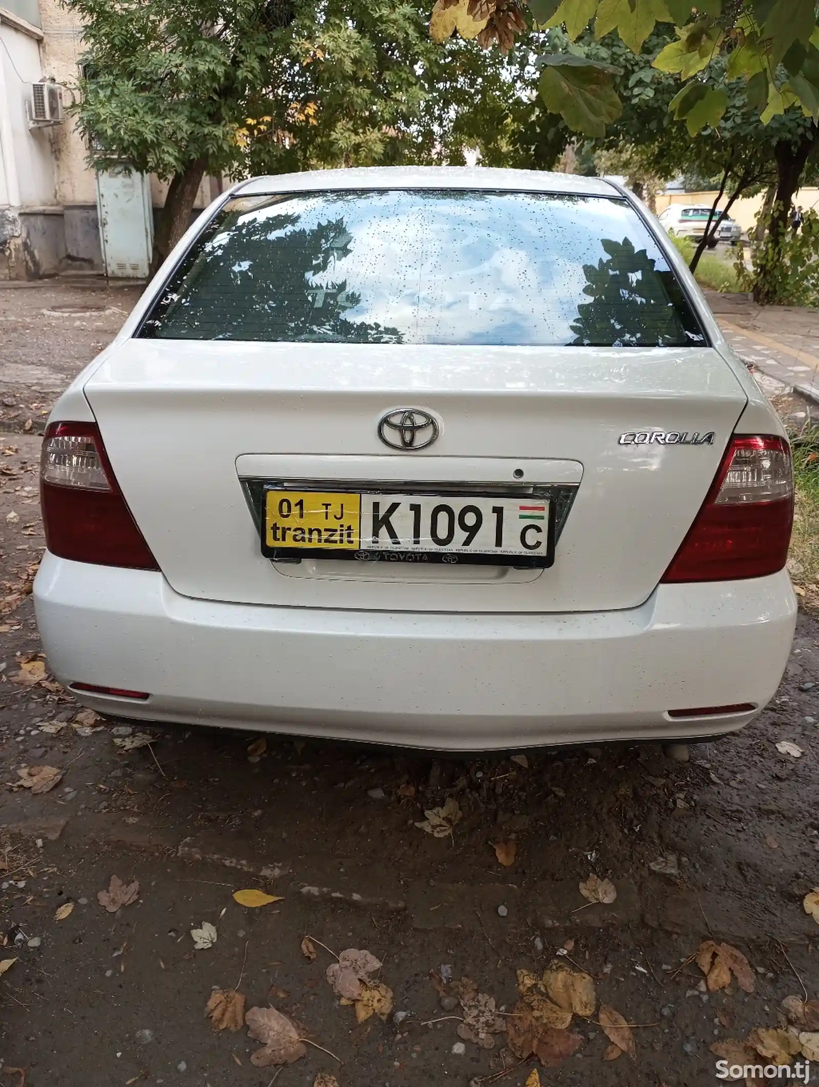 Toyota Corolla, 2007-7