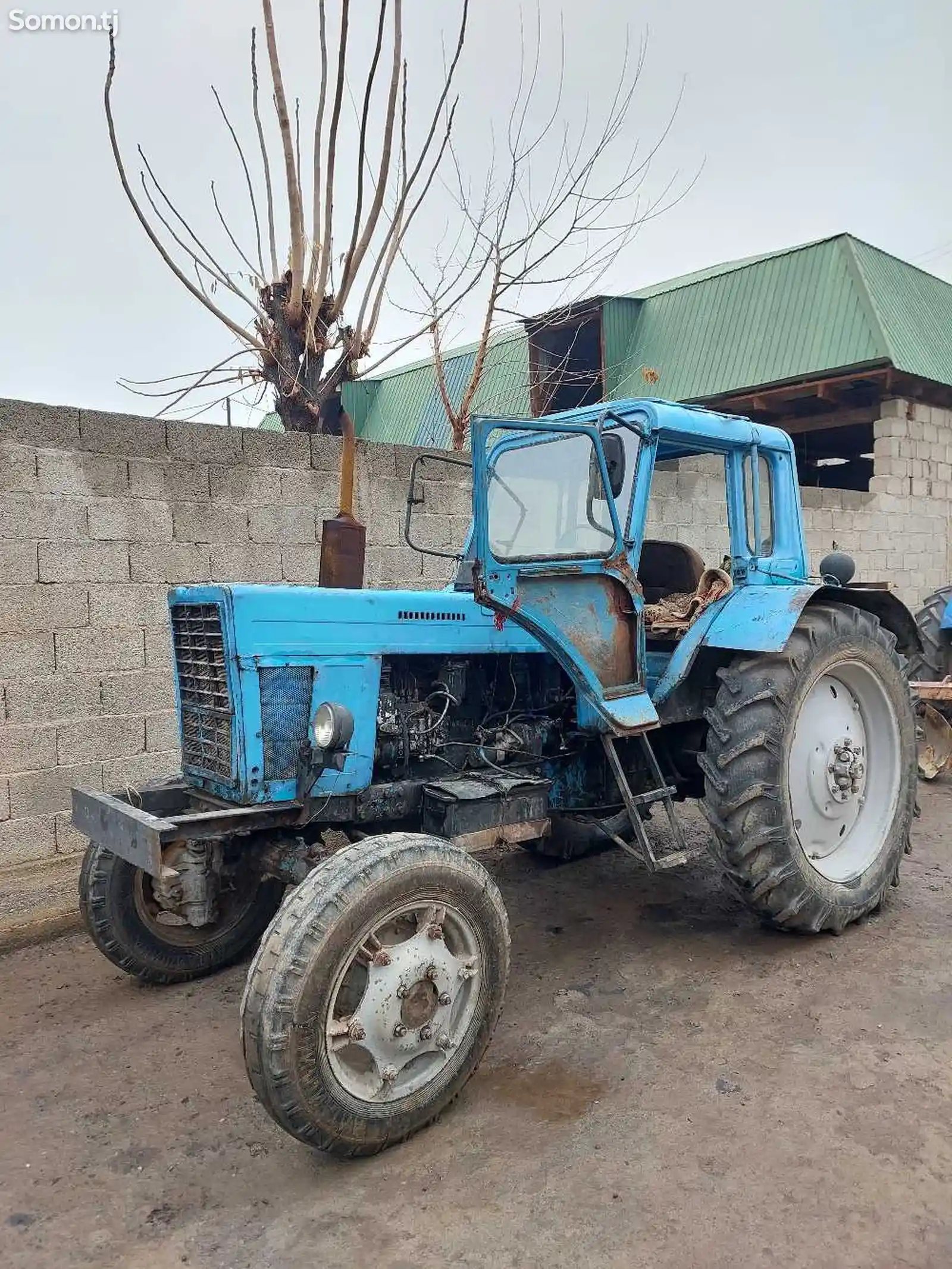 Трактор МТЗ-82, 1982-5
