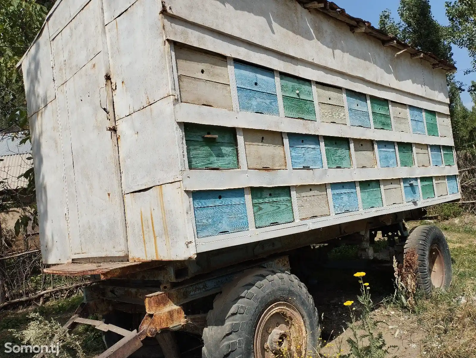 Вагони занбур-2