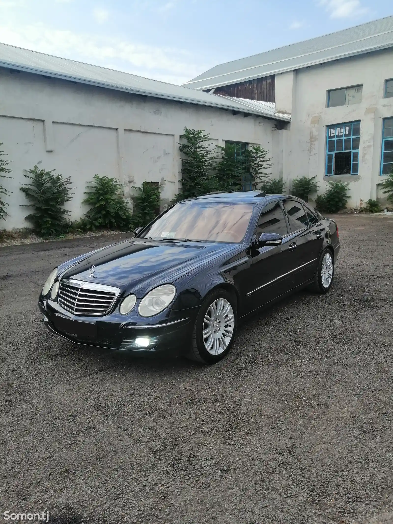 Mercedes-Benz E class, 2006-1