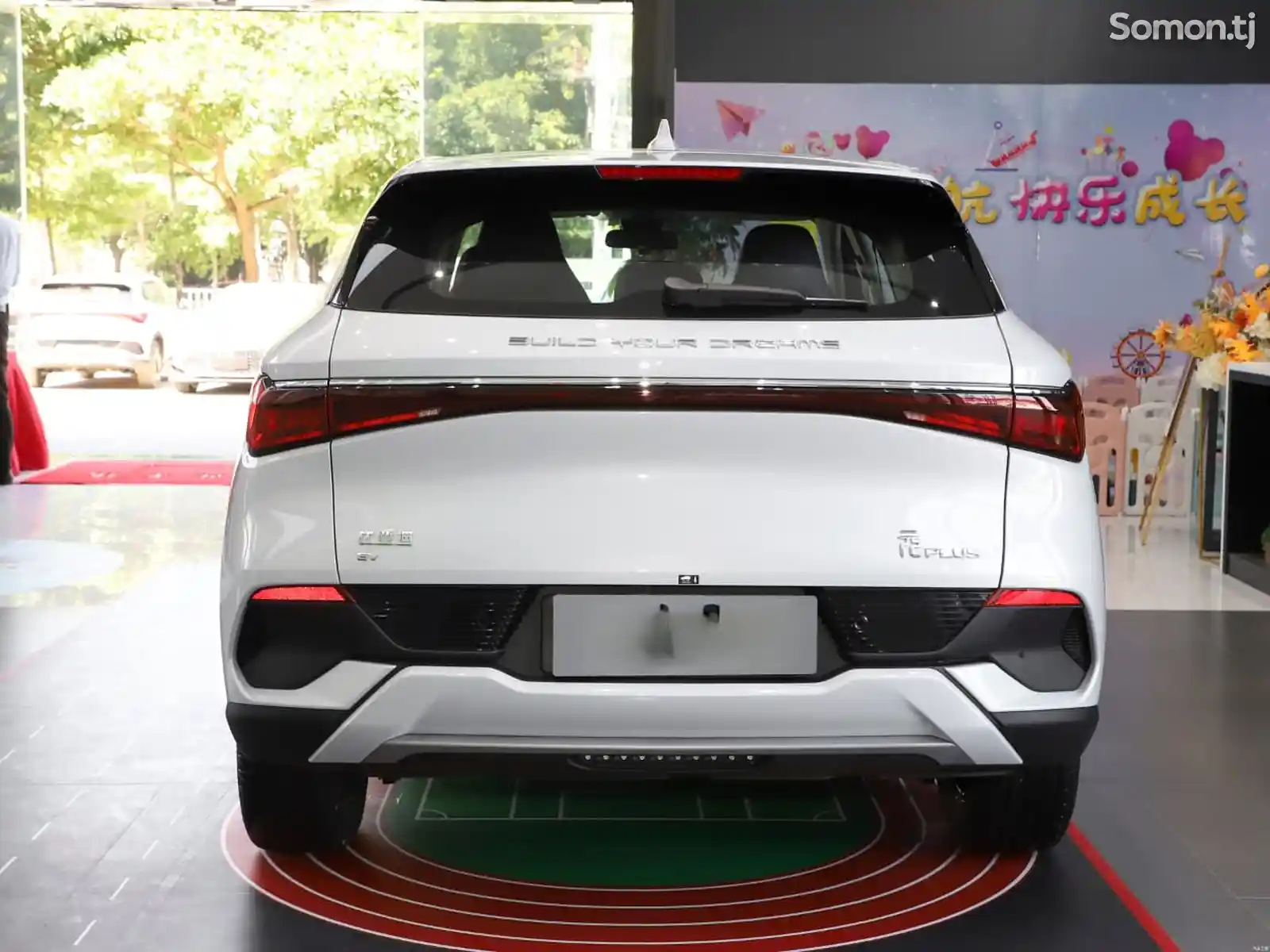 BYD Yuan Plus, 2024-6