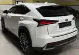 Lexus NX series, 2021-5