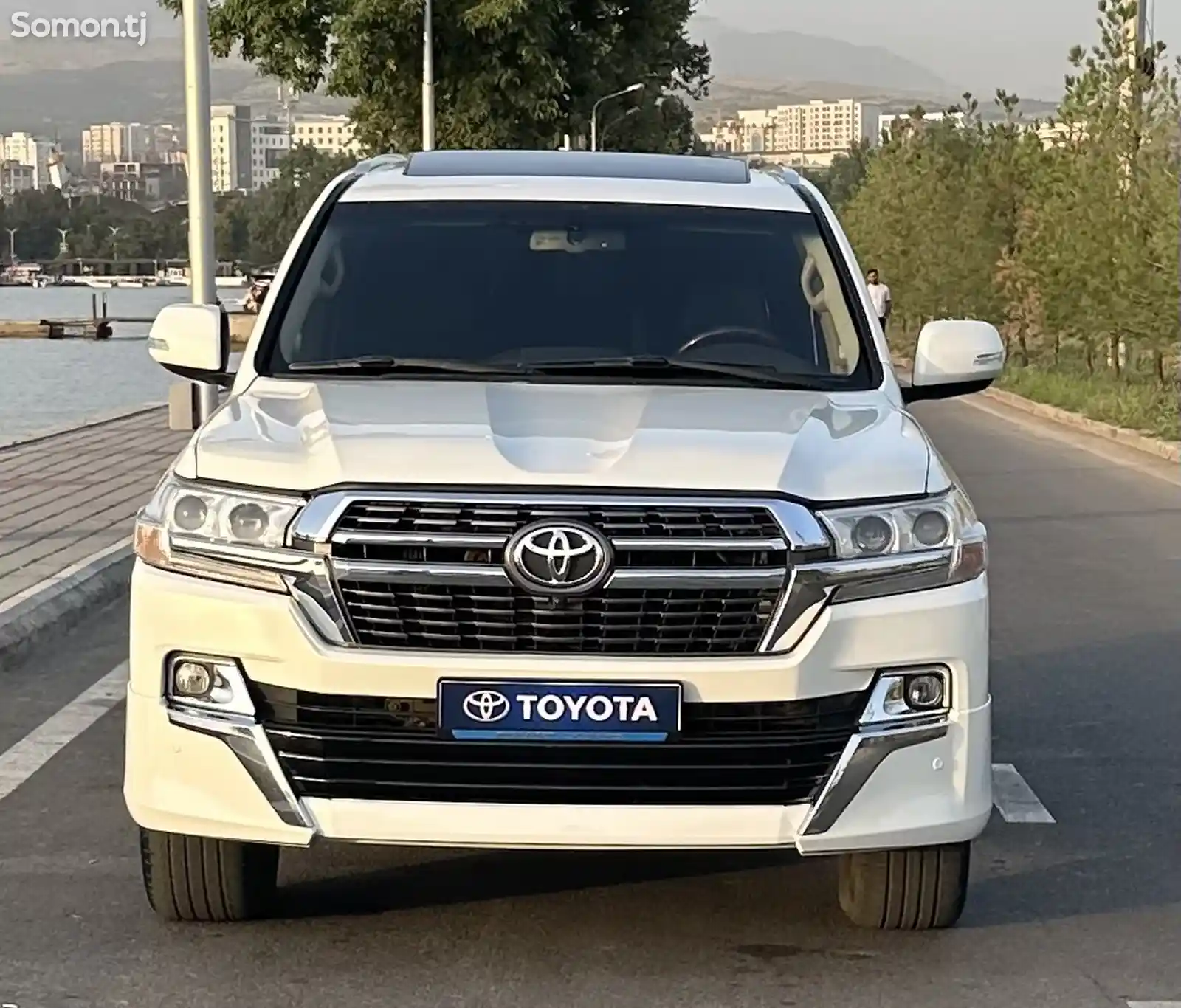 Toyota Land Cruiser, 2010-1