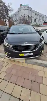 Kia Carnival, 2016-3