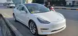 Tesla Model 3, 2020-5