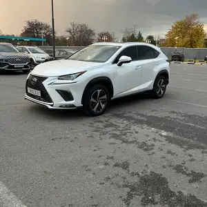 Lexus NX series, 2020