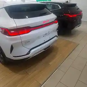 BYD Corvette, 2024