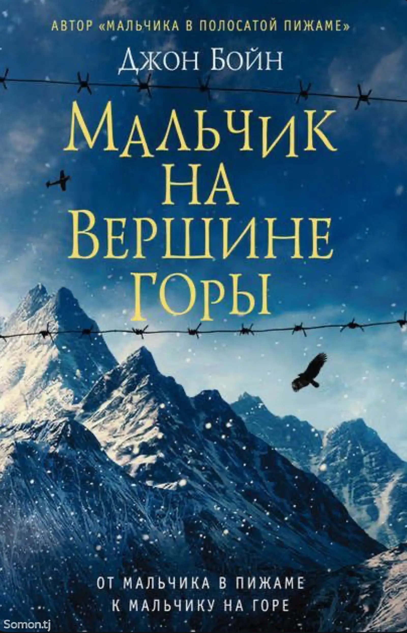 Книга Мальчик на вершине горы