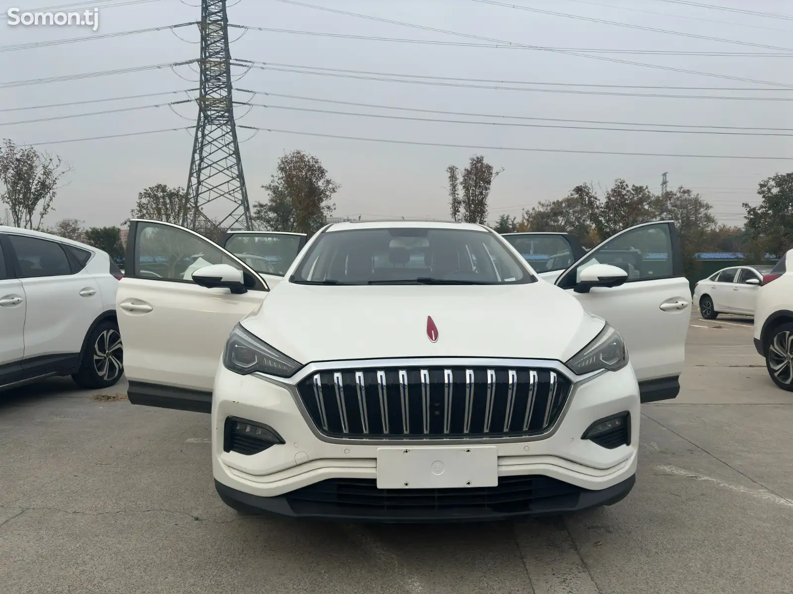 Hongqi E-HS3, 2019-1