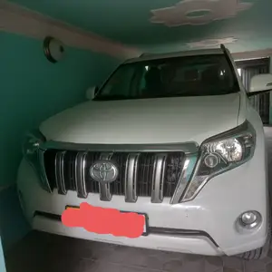 Toyota Land Cruiser Prado, 2011