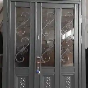 Железо-стеклянная дверь