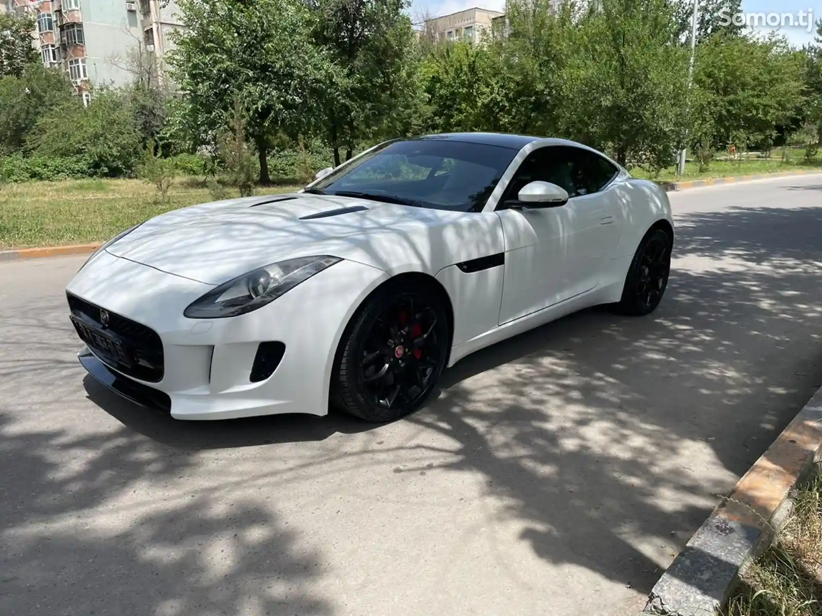 Jaguar, 2016-8