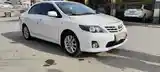 Toyota Corolla, 2010-2