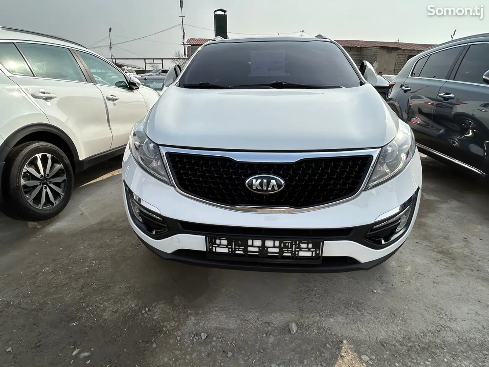 Kia Sportage, 2014-1