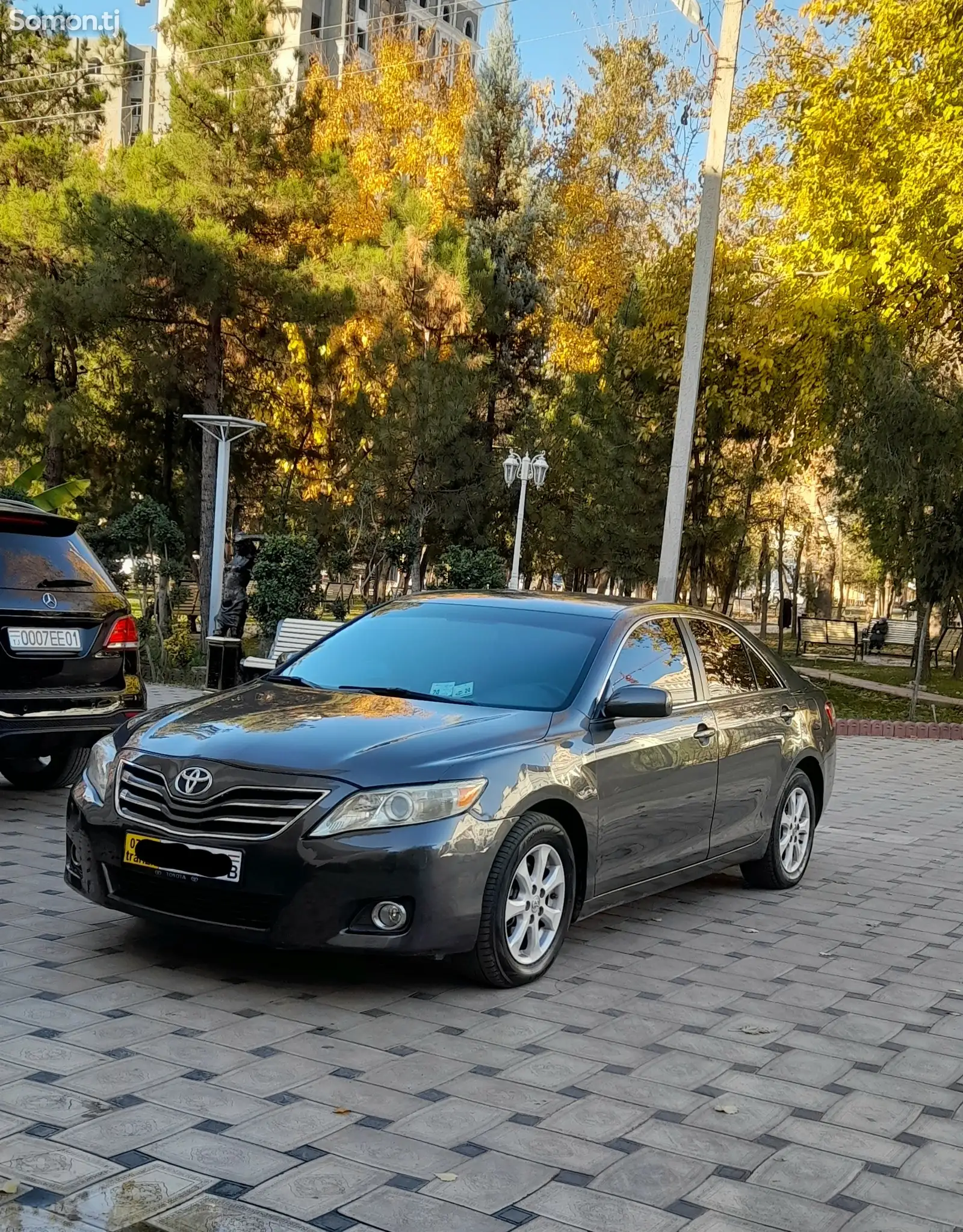 Toyota Camry, 2010-1