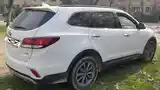 Hyundai Santa Fe, 2017-3