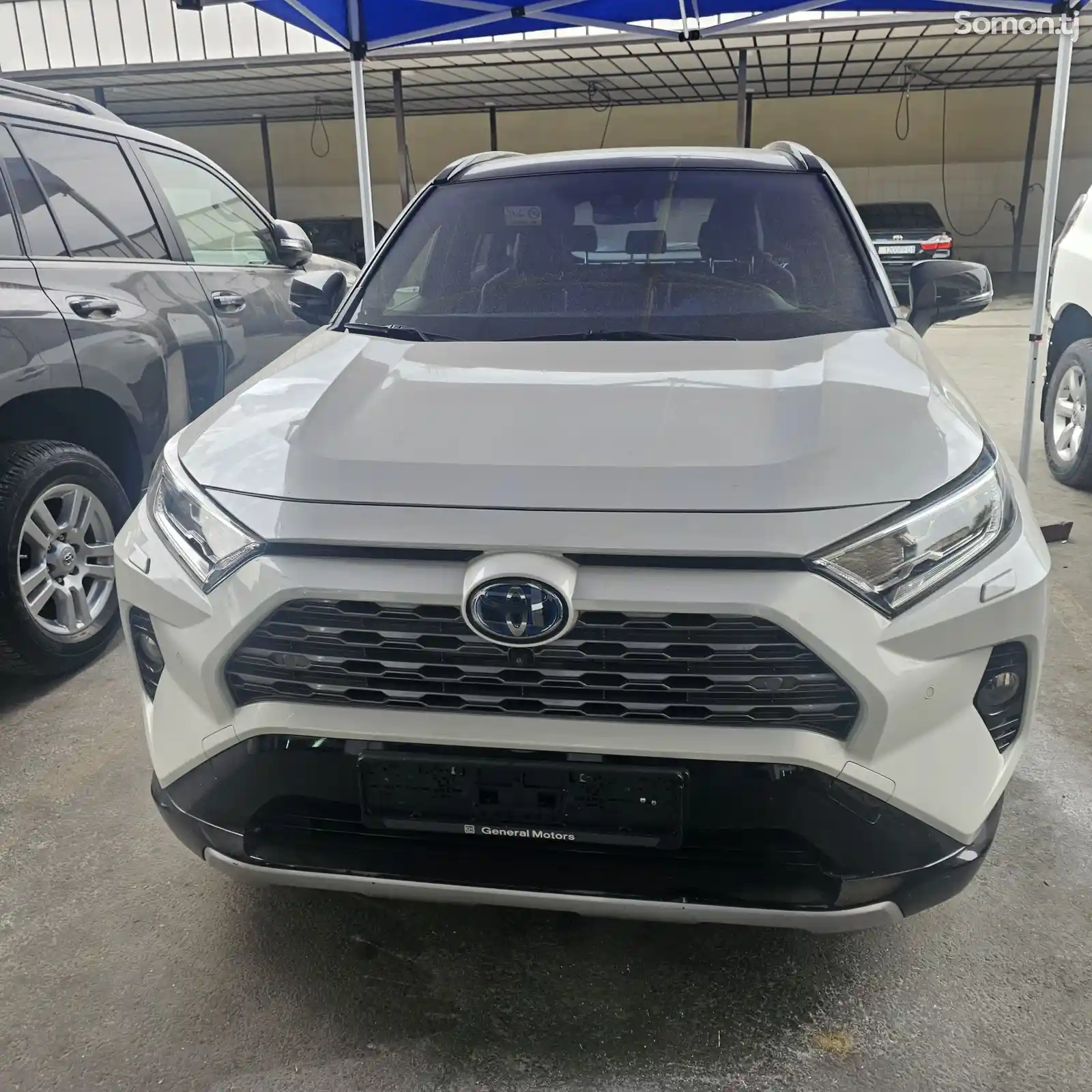 Toyota RAV 4, 2022-1