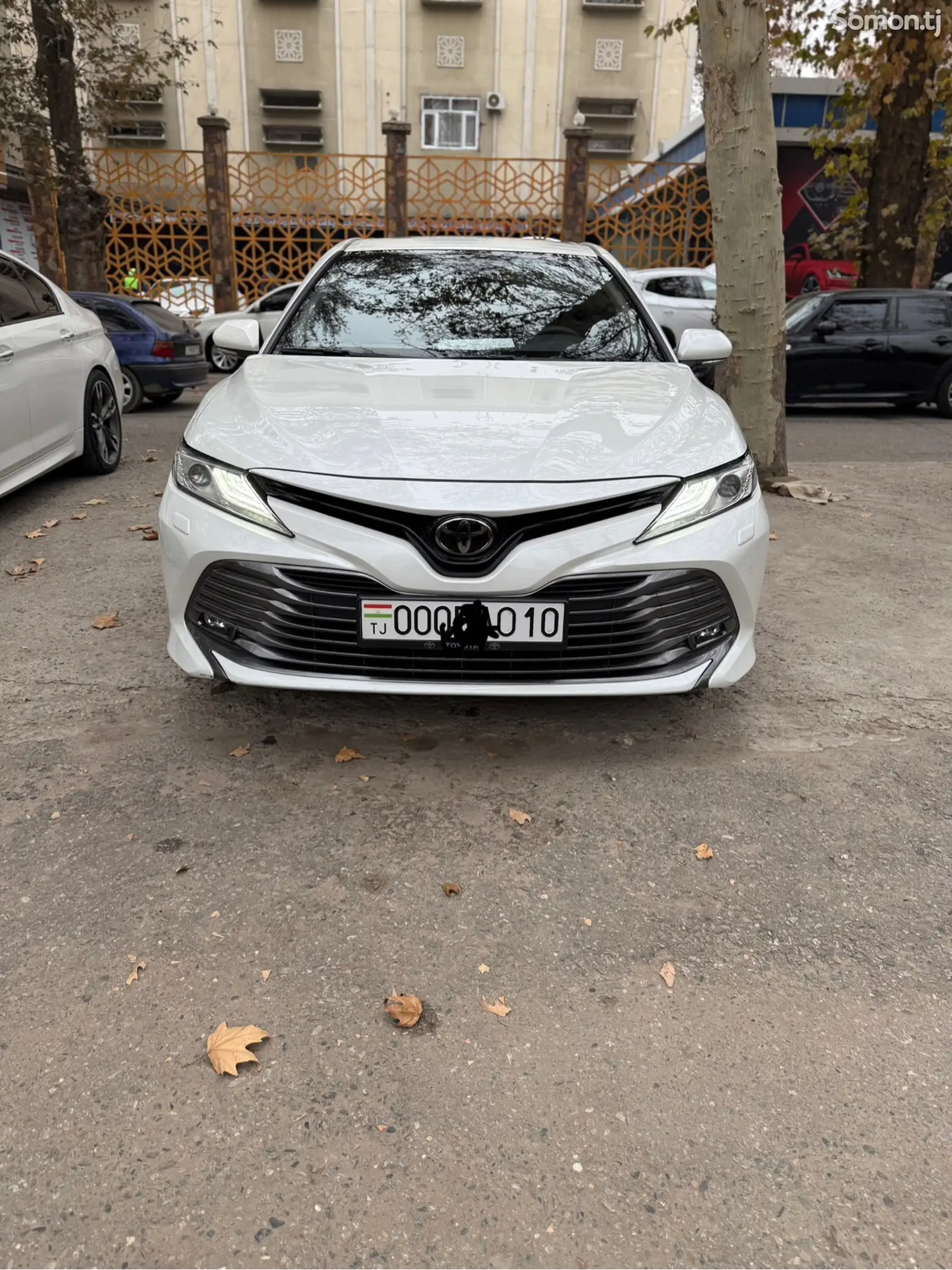 Toyota Camry, 2019-1