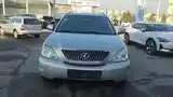 Lexus RX series, 2006-8