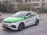 BYD E3, 2023-5