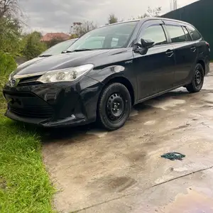 Toyota Fielder, 2019