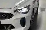 Kia Stinger, 2017-6