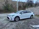 Toyota Corolla, 2024-2