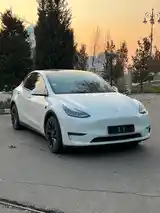 Tesla Model Y, 2020-2