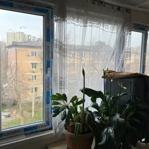 2-комн. квартира, 4 этаж, 37 м², Сино