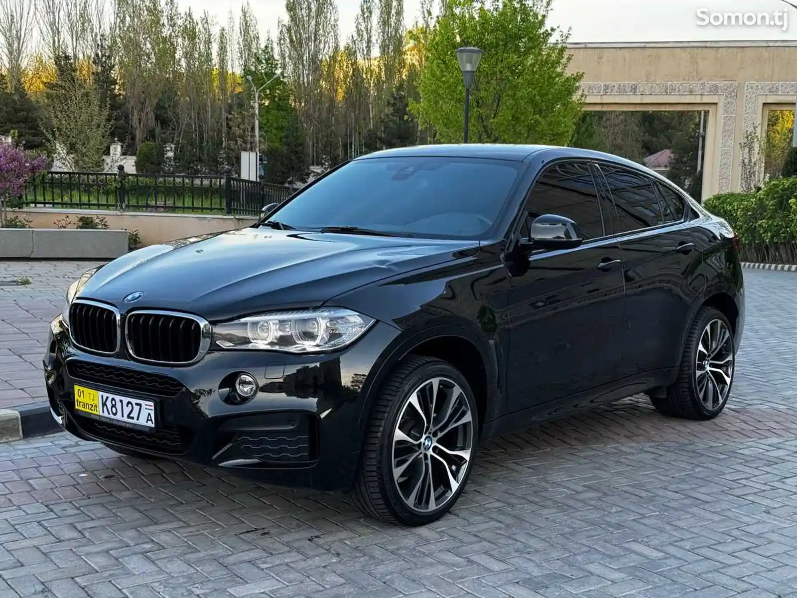 BMW X6, 2017-3