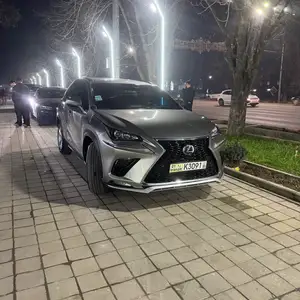 Lexus NX series, 2017