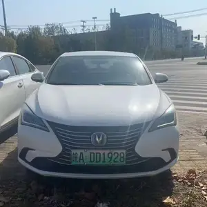 Changan Alsvin, 2020