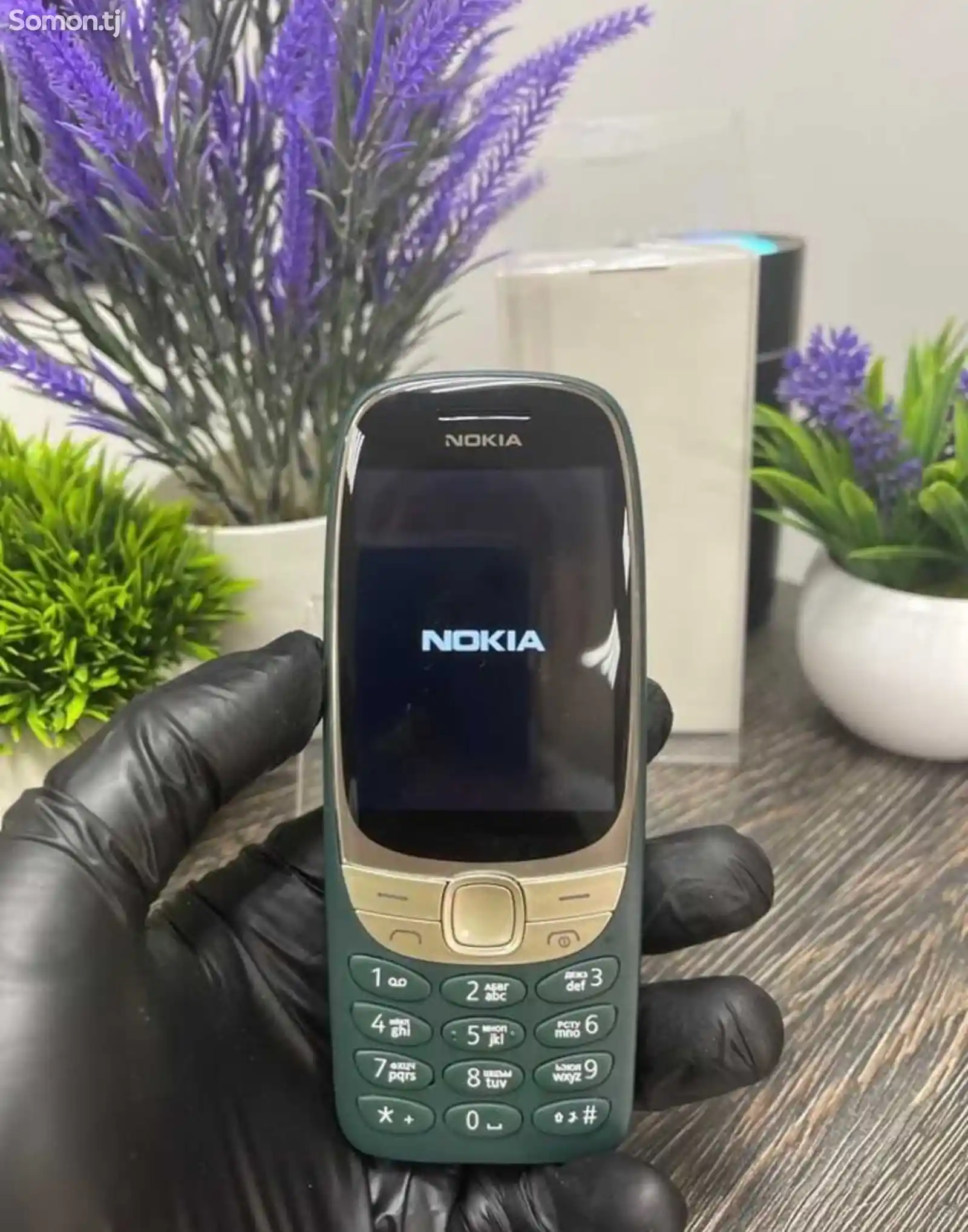 Nokia 6310-3