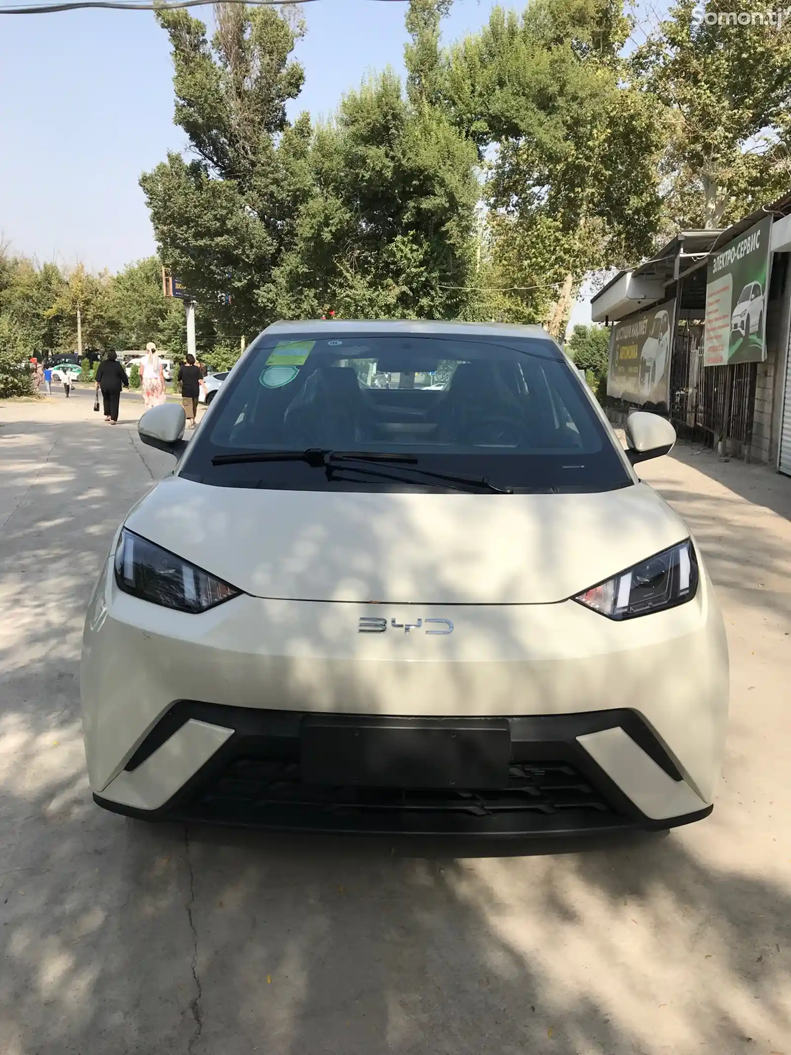 BYD Seagull, 2024-1