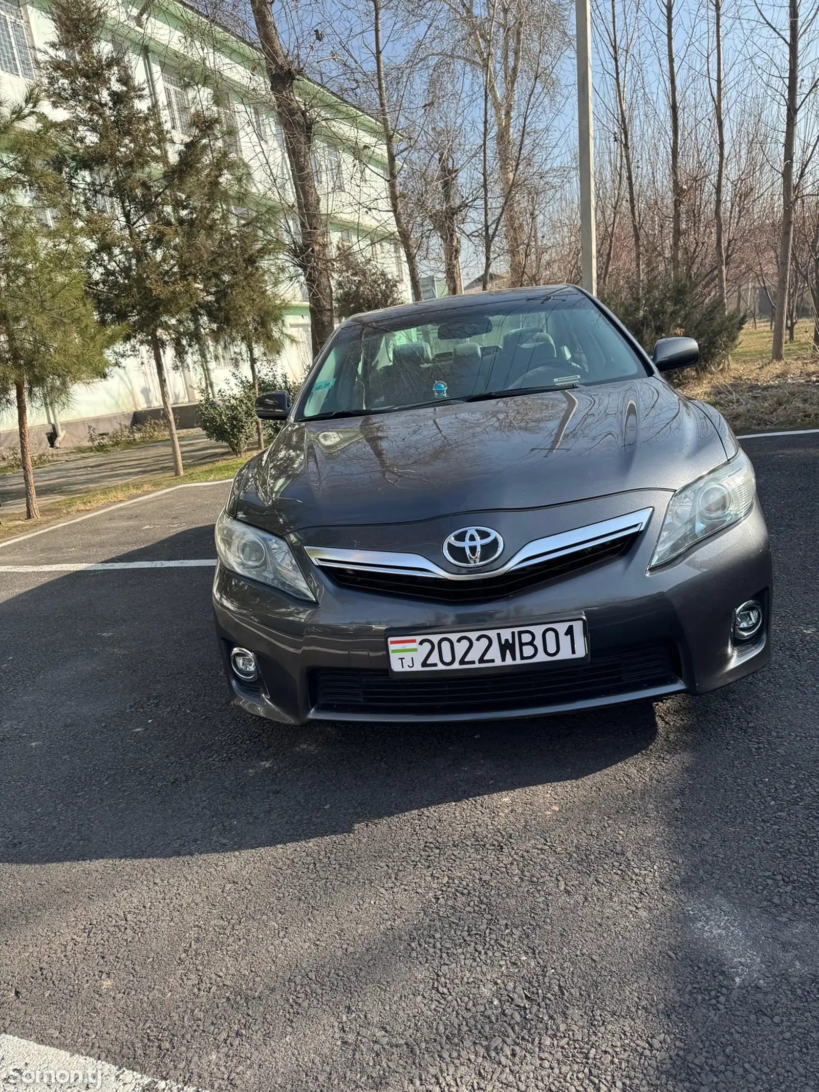 Toyota Camry, 2010-1