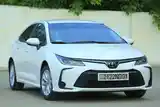 Toyota Corolla, 2022-3