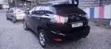 Lexus RX series, 2005-5