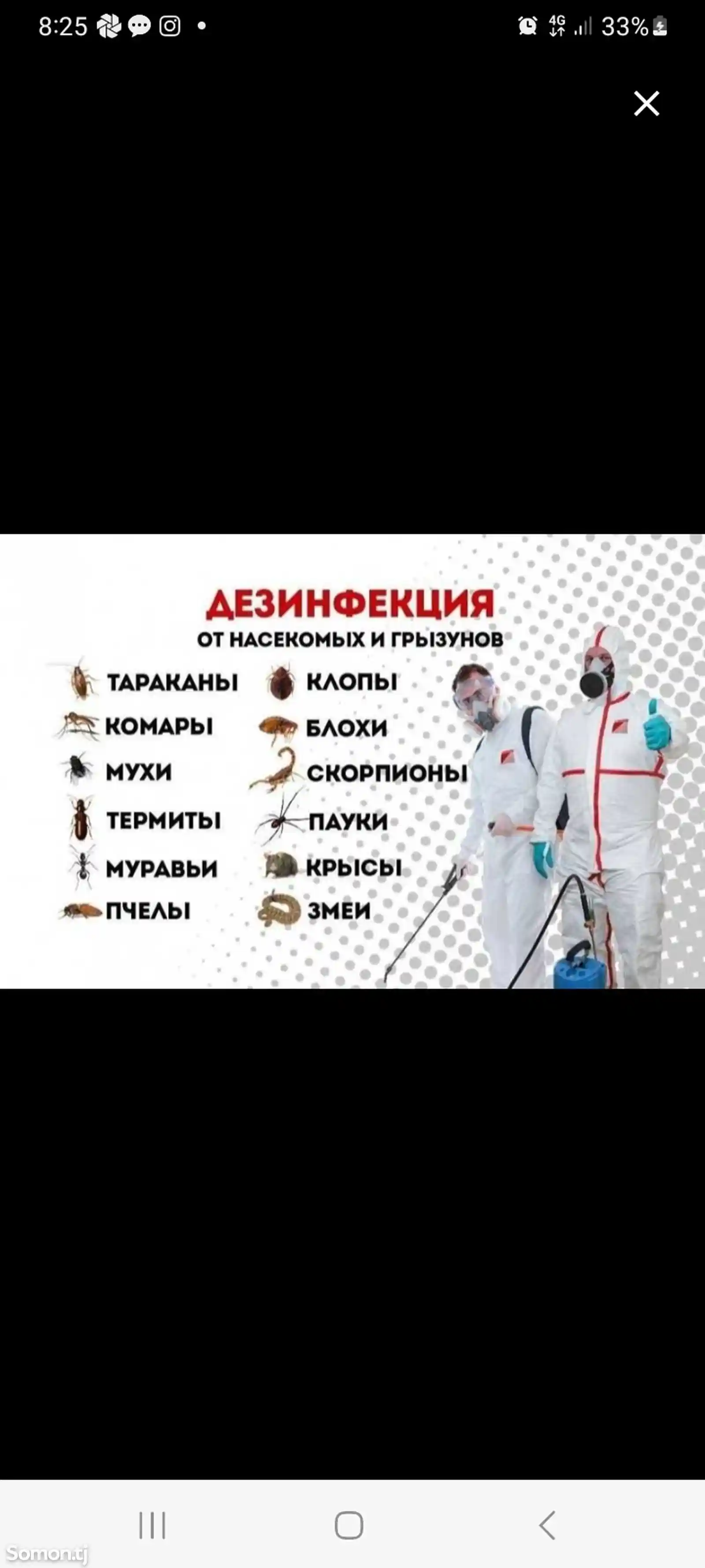 Услуги дезинсектора-1