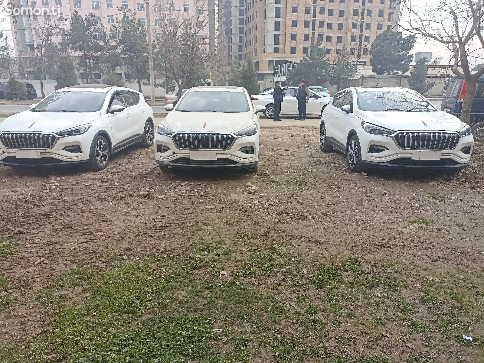 Hongqi E-HS3, 2019-1