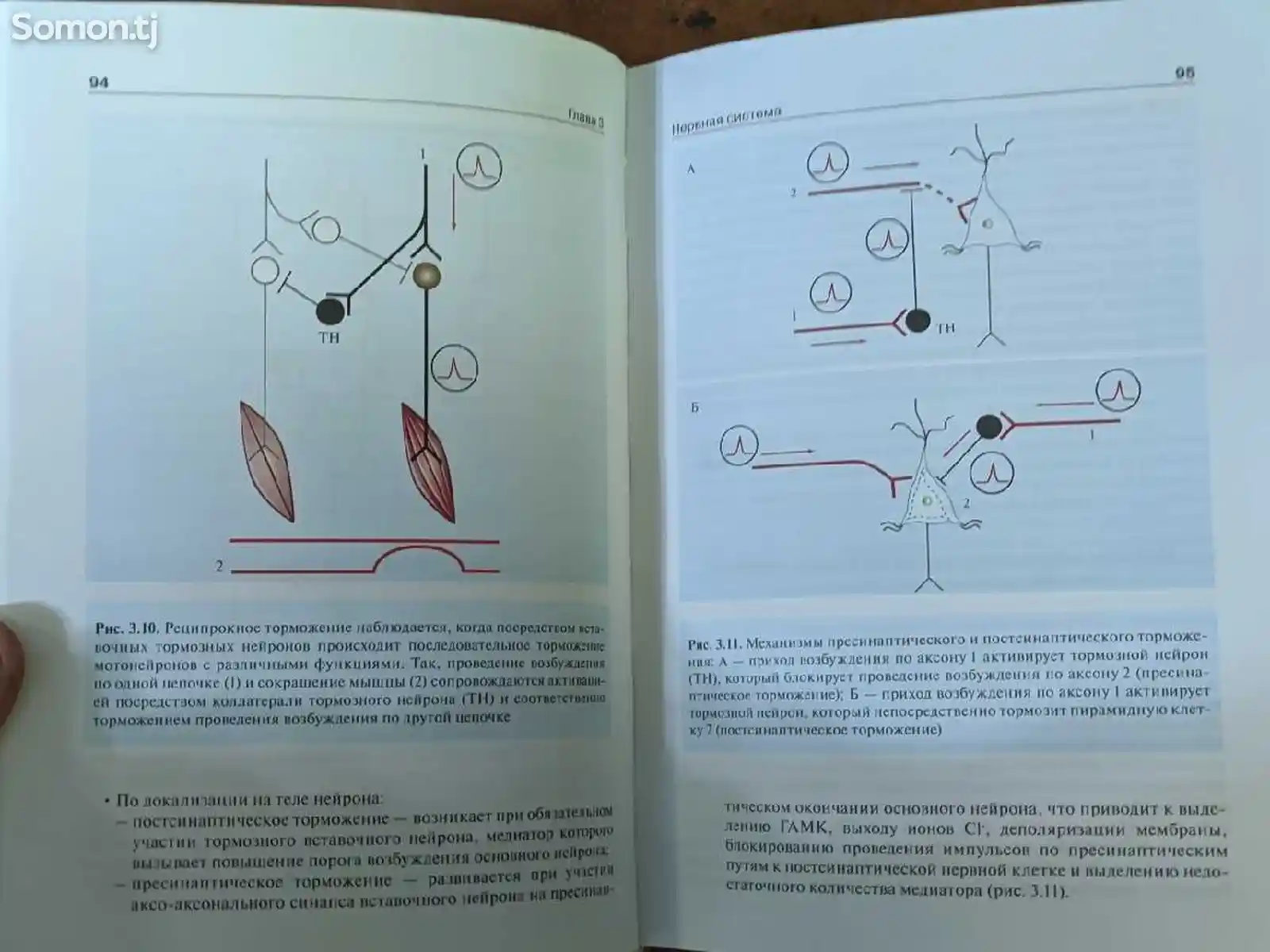 Учебник Нормальная физиология-5