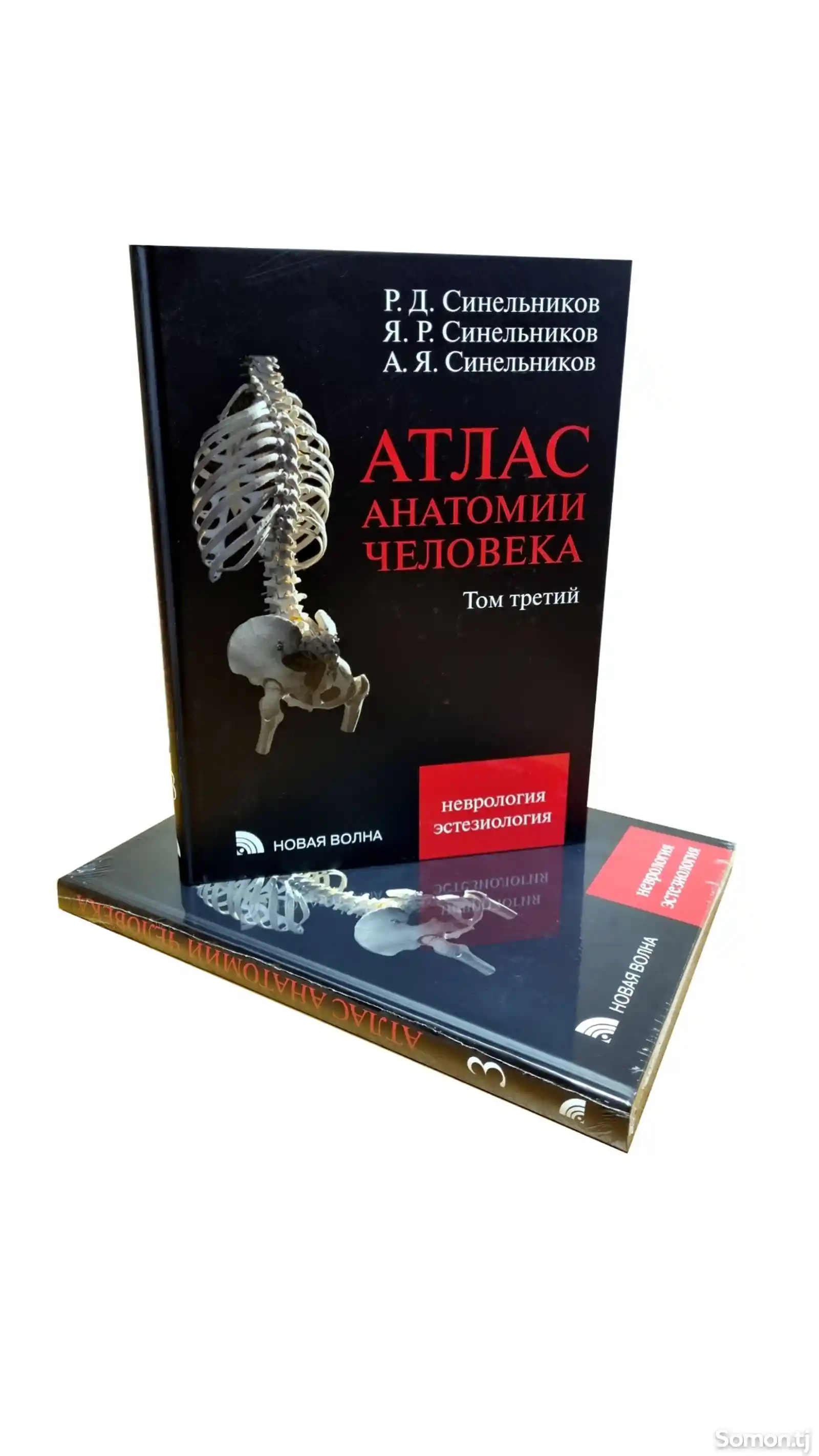 Книга Атлас Анатомии Человека на заказ-6