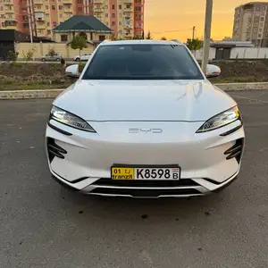 BYD Song Plus, 2024