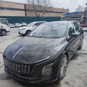 Hongqi E-QM5, 2024