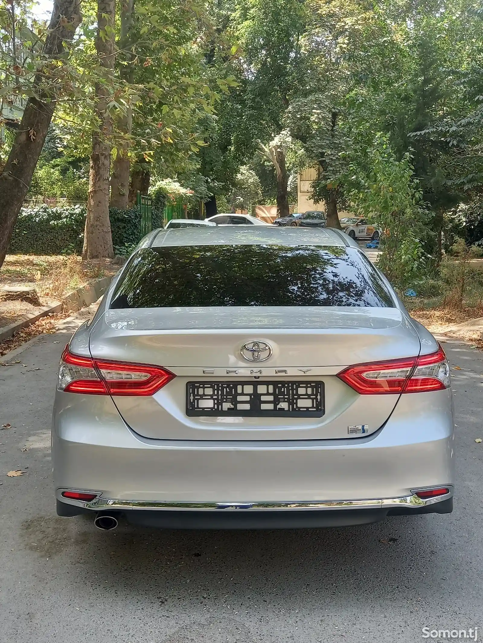 Toyota Camry, 2019-3